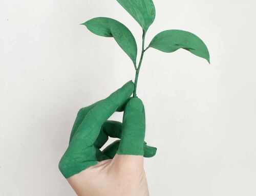 5 Tips om Energie te Besparen Thuis