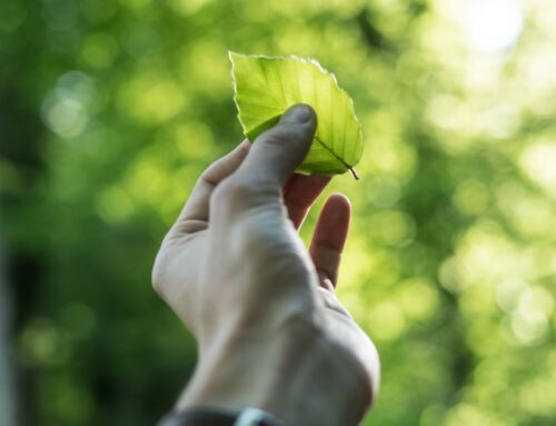 Hybride warmtepomp zonder zonnepanelen rendabel of niet?